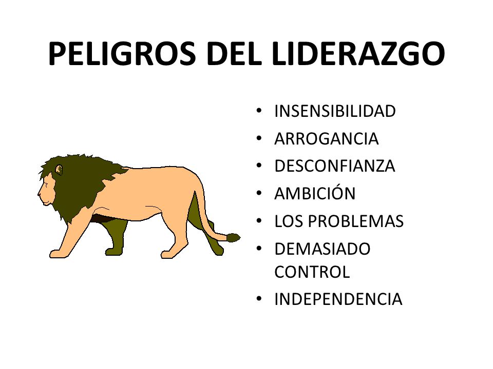 PELIGROS DEL LIDERAZGO