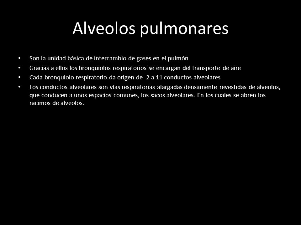 Alveolos pulmonares Son la unidad básica de intercambio de gases en el pulmón.