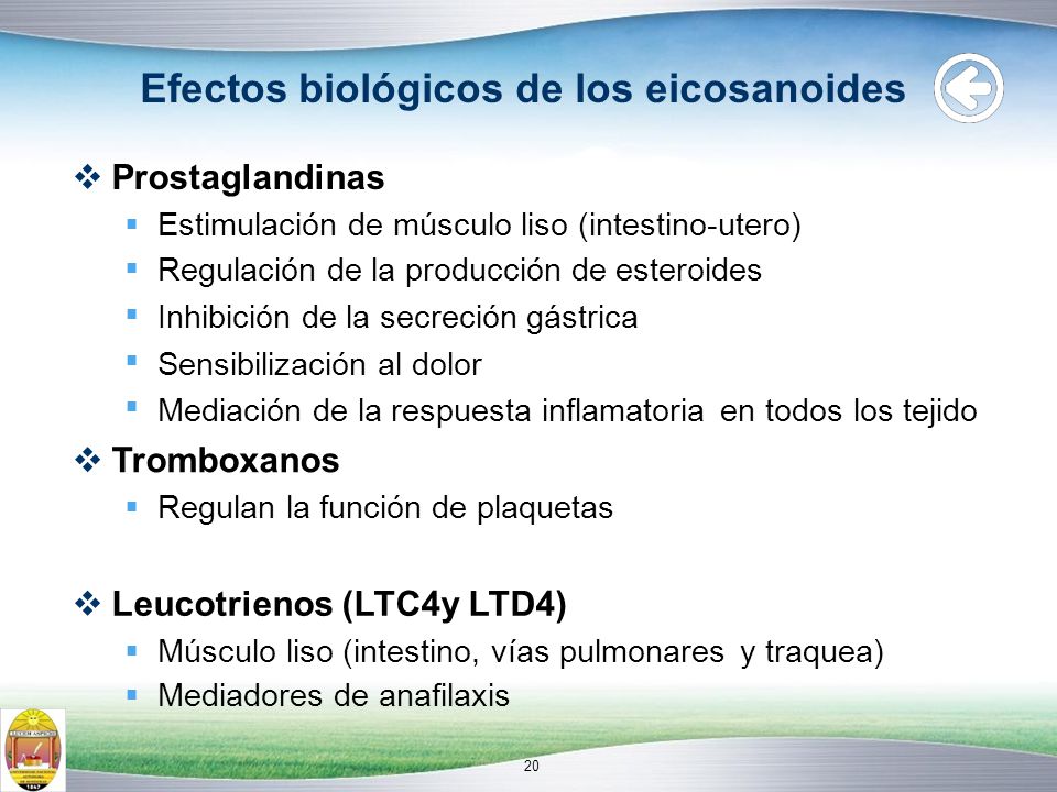 Efectos biológicos de los eicosanoides