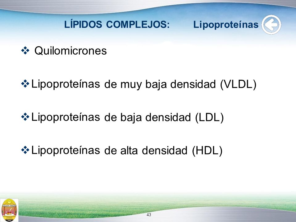  Quilomicrones  Lipoproteínas de muy baja densidad (VLDL)