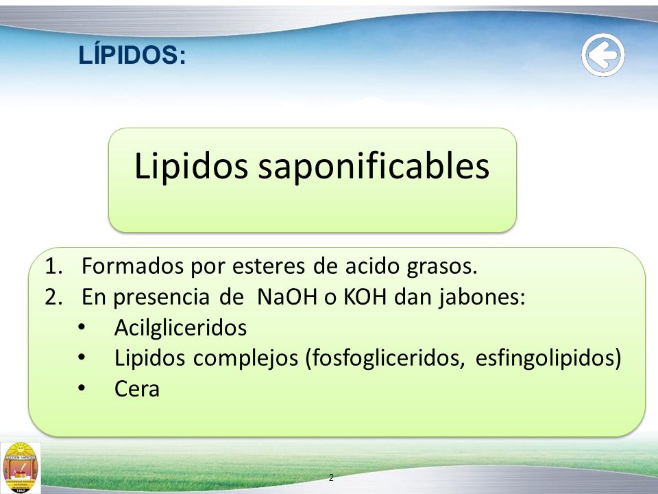 Lipidos saponificables