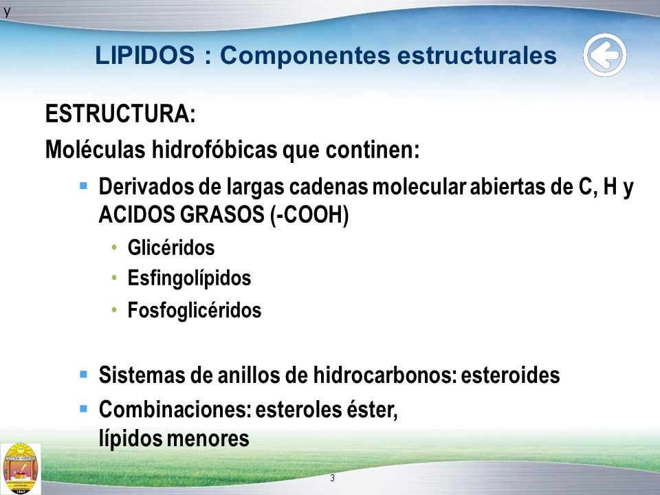 LIPIDOS : Componentes estructurales