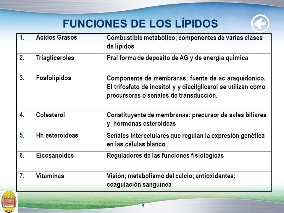 FUNCIONES DE LOS LÍPIDOS 1. Acidos Grasos