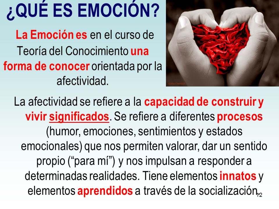 ¿QUÉ ES EMOCIÓN La Emoción es en el curso de Teoría del Conocimiento una forma de conocer orientada por la afectividad.