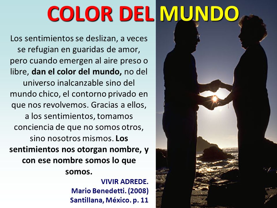 COLOR DEL MUNDO
