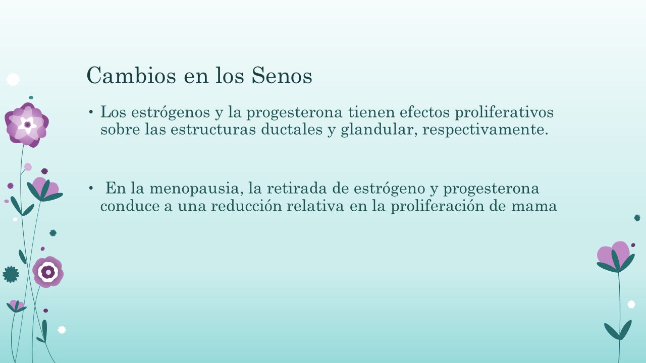 Cambios en los Senos Los estrógenos y la progesterona tienen efectos proliferativos sobre las estructuras ductales y glandular, respectivamente.