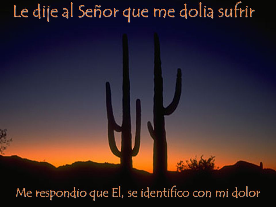 Le dije al Señor que me dolia sufrir