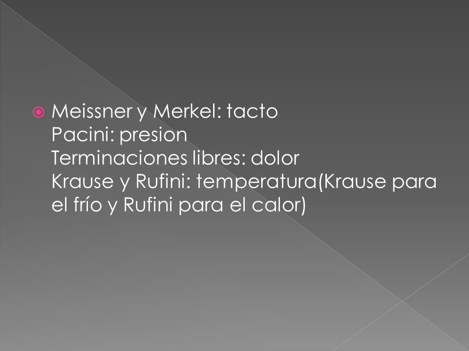 Meissner y Merkel: tacto Pacini: presion Terminaciones libres: dolor Krause y Rufini: temperatura(Krause para el frí­o y Rufini para el calor)