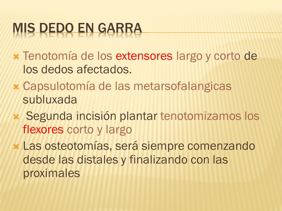 Mis dedo en garra Tenotomía de los extensores largo y corto de los dedos afectados. Capsulotomía de las metarsofalangicas subluxada.