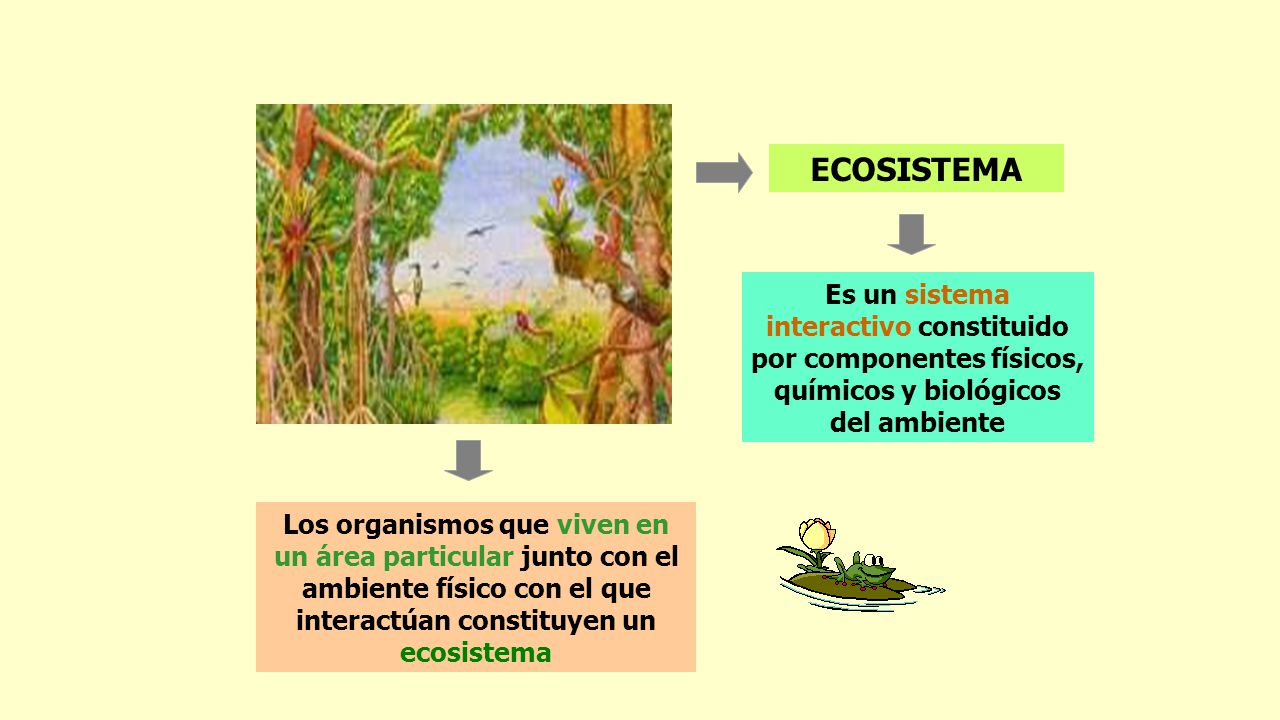 ECOSISTEMA Es un sistema interactivo constituido por componentes físicos, químicos y biológicos del ambiente.