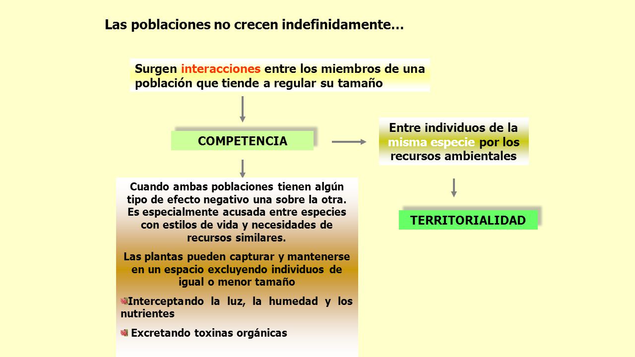Entre individuos de la misma especie por los recursos ambientales