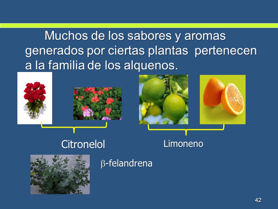Muchos de los sabores y aromas generados por ciertas plantas pertenecen a la familia de los alquenos.