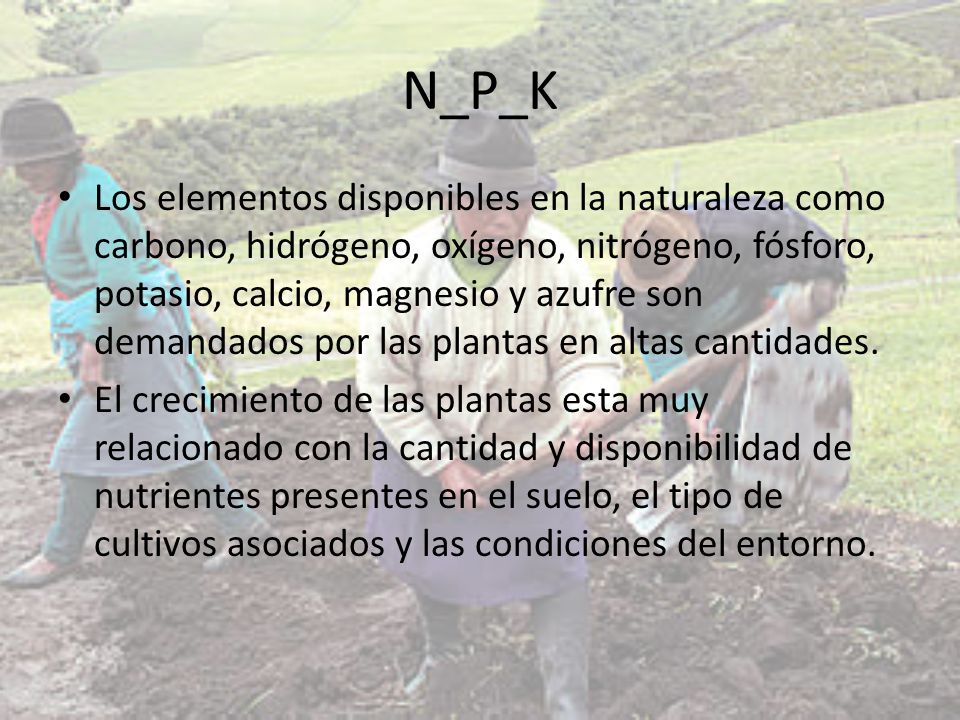 N_P_K