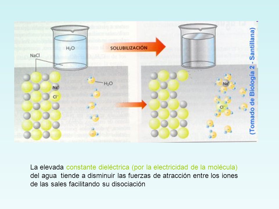 La elevada constante dieléctrica (por la electricidad de la molécula) del agua tiende a disminuir las fuerzas de atracción entre los iones de las sales facilitando su disociación