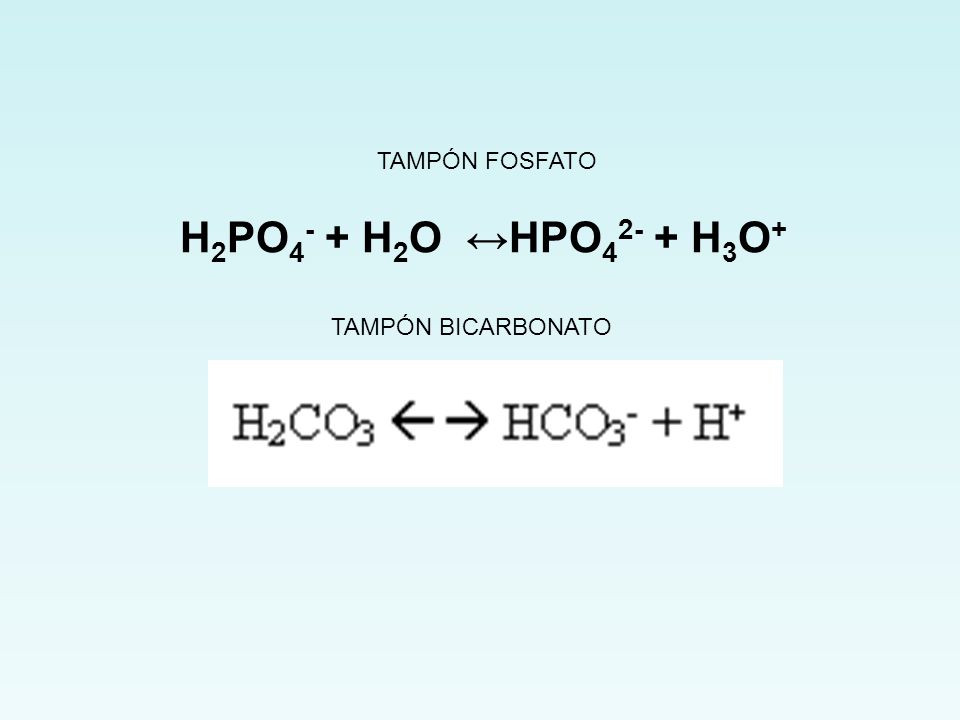 TAMPÓN FOSFATO H2PO4- + H2O ↔HPO42- + H3O+ TAMPÓN BICARBONATO