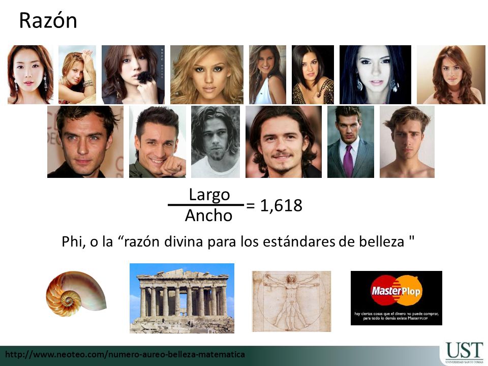 Phi, o la razón divina para los estándares de belleza