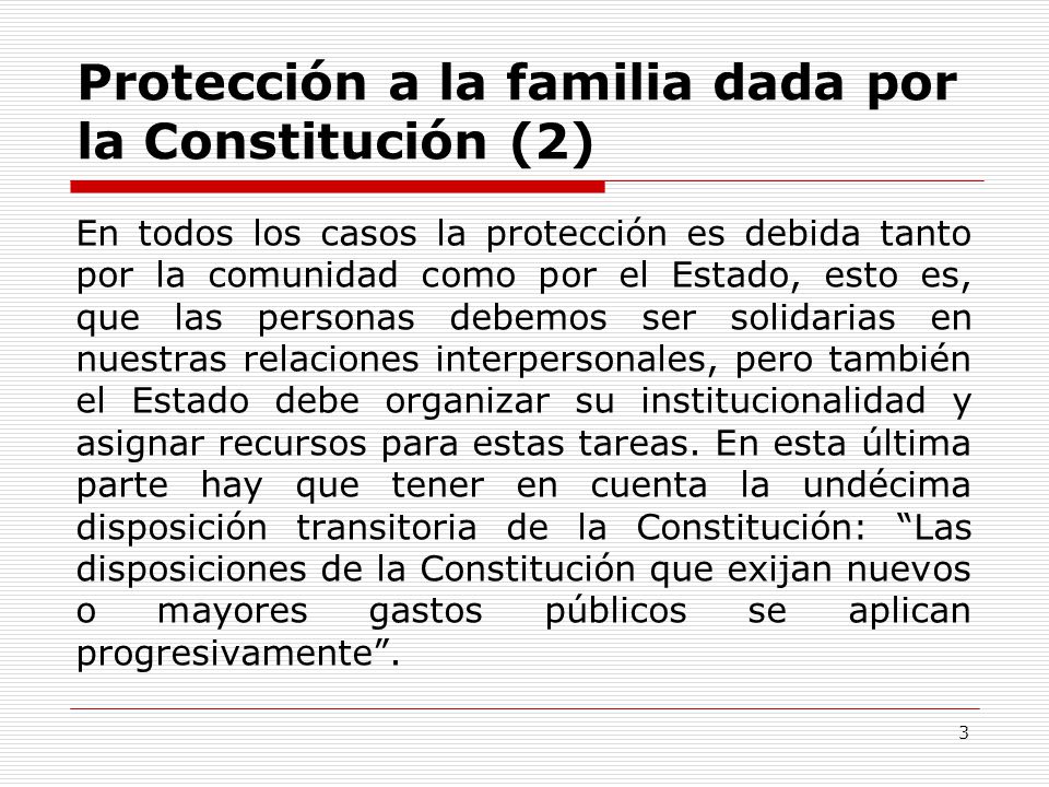 Protección a la familia dada por la Constitución (2)