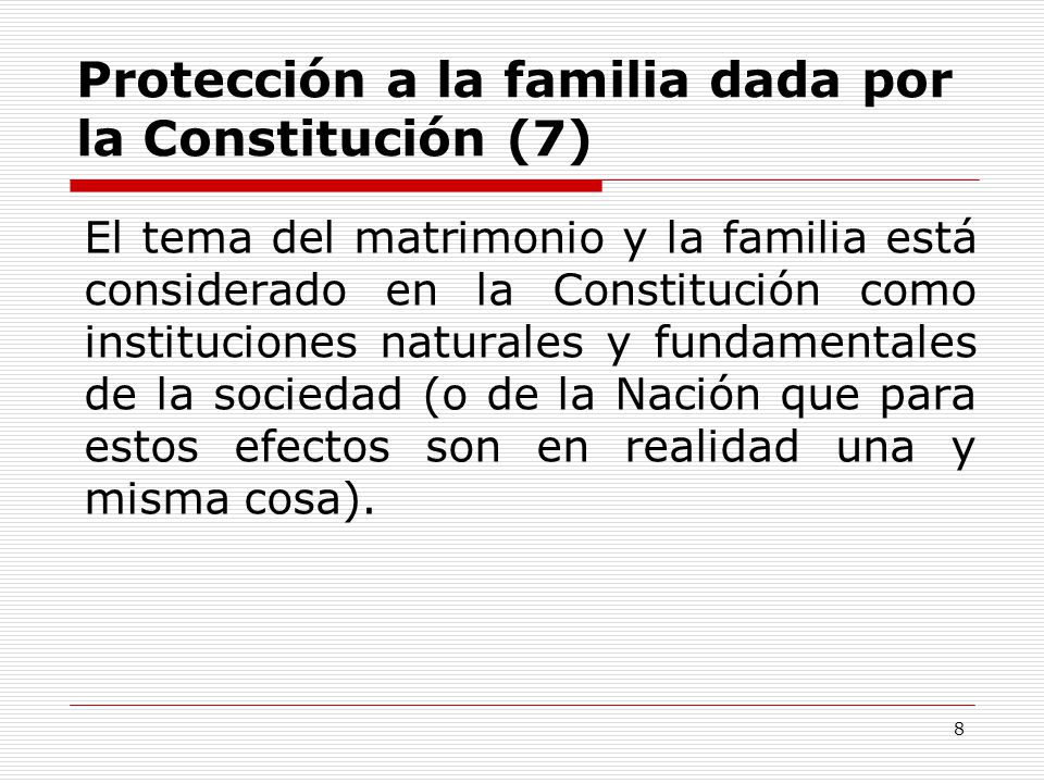 Protección a la familia dada por la Constitución (7)