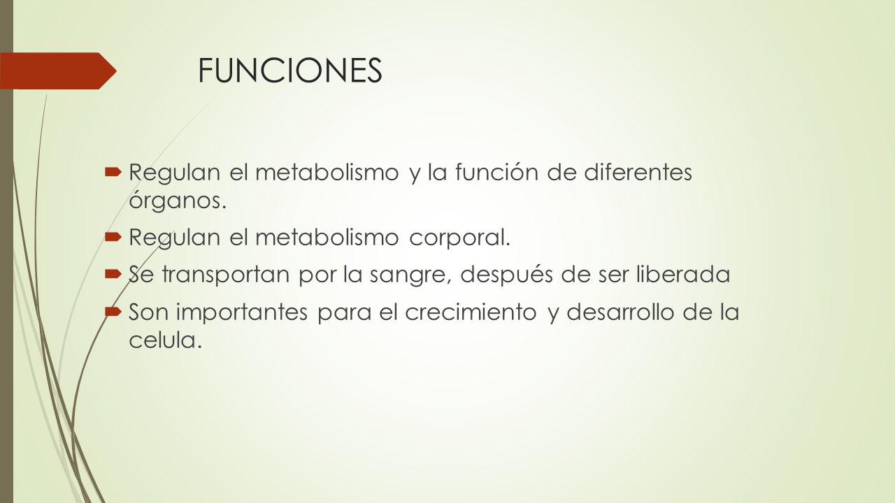 FUNCIONES Regulan el metabolismo y la función de diferentes órganos.