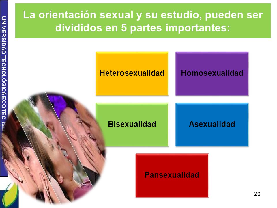 La orientación sexual y su estudio, pueden ser divididos en 5 partes importantes: