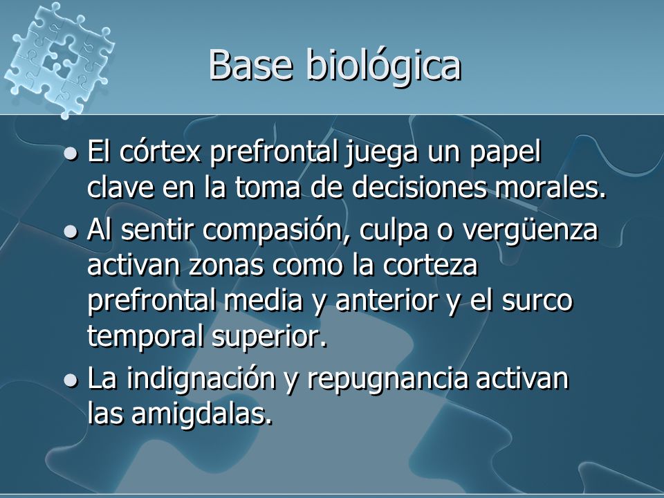 Base biológica El córtex prefrontal juega un papel clave en la toma de decisiones morales.