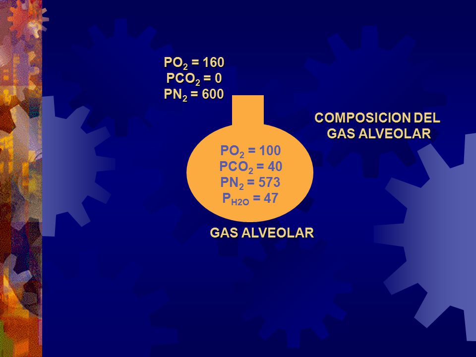 PO2 = 160 PCO2 = 0. PN2 = 600. COMPOSICION DEL. GAS ALVEOLAR. PO2 = 100. PCO2 = 40. PN2 = 573.