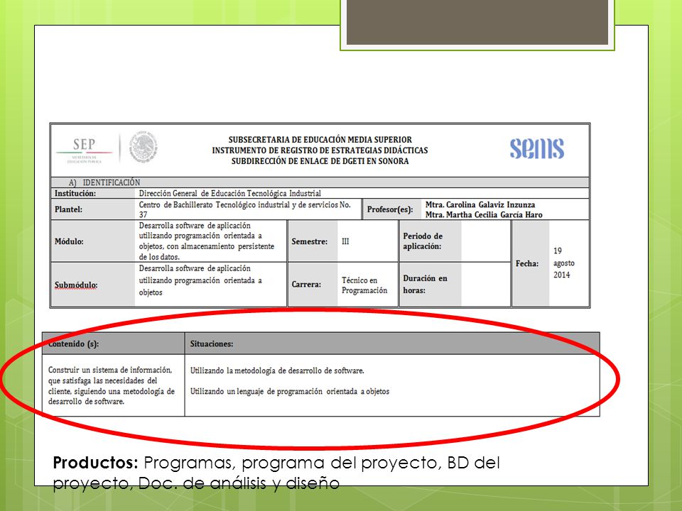Productos: Programas, programa del proyecto, BD del proyecto, Doc