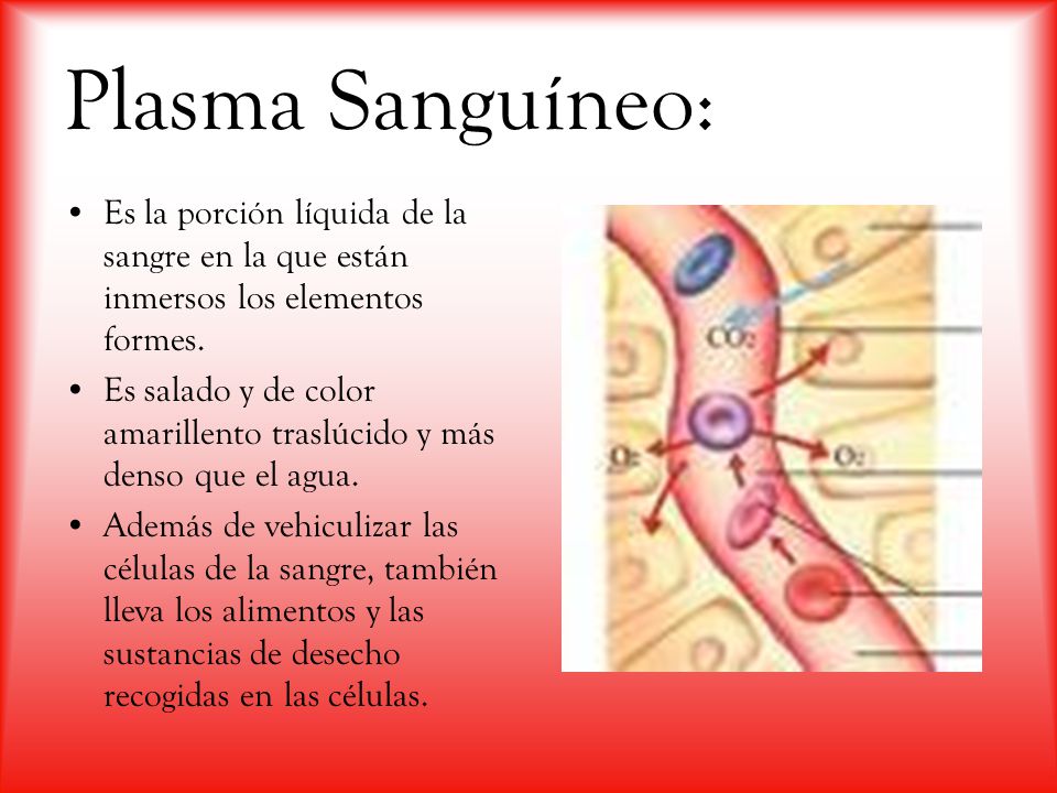 Plasma Sanguíneo: Es la porción líquida de la sangre en la que están inmersos los elementos formes.