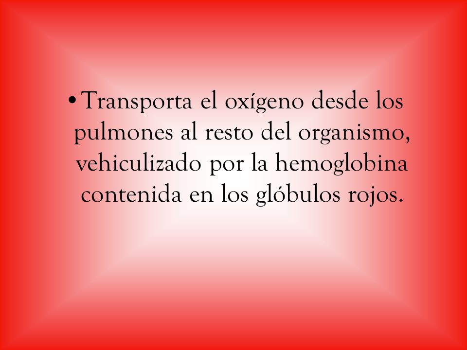 Transporta el oxígeno desde los pulmones al resto del organismo, vehiculizado por la hemoglobina contenida en los glóbulos rojos.