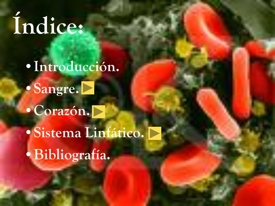 Índice: Introducción. Sangre. Corazón. Sistema Linfático.