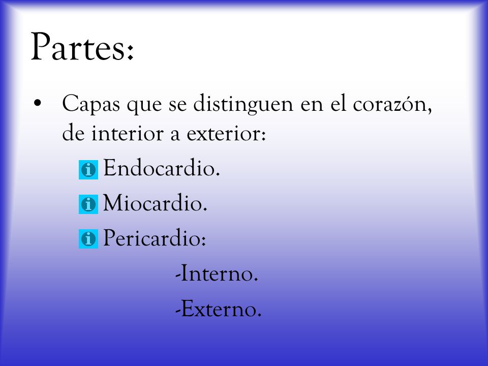 Partes: Capas que se distinguen en el corazón, de interior a exterior: