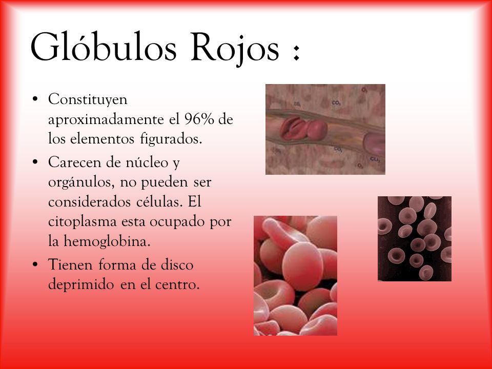 Glóbulos Rojos : Constituyen aproximadamente el 96% de los elementos figurados.