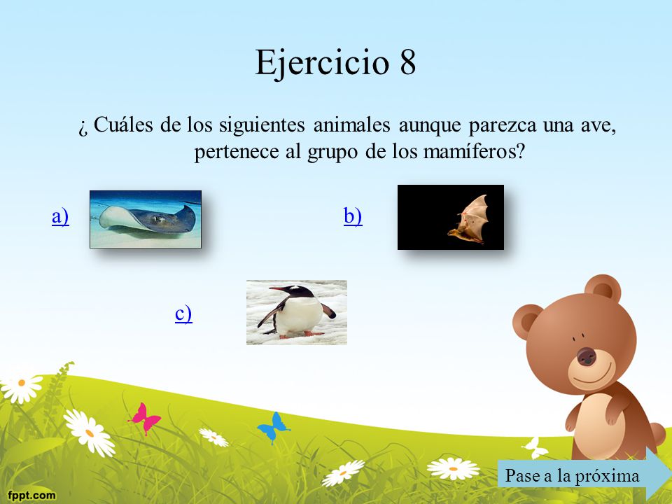 Ejercicio 8 ¿ Cuáles de los siguientes animales aunque parezca una ave, pertenece al grupo de los mamíferos