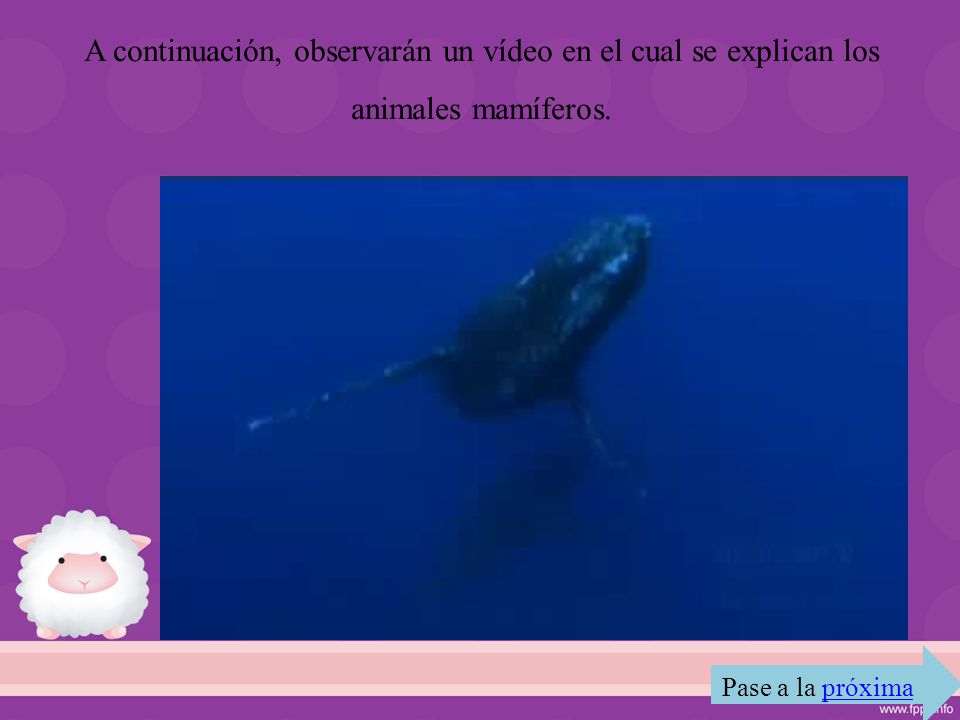 A continuación, observarán un vídeo en el cual se explican los animales mamíferos.