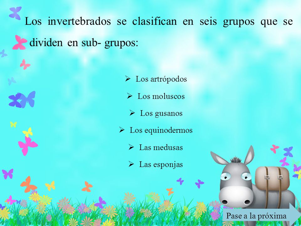 Los invertebrados se clasifican en seis grupos que se dividen en sub- grupos: