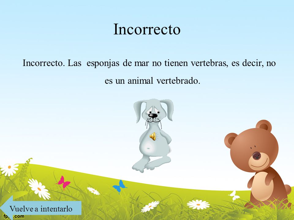 Incorrecto Incorrecto. Las esponjas de mar no tienen vertebras, es decir, no es un animal vertebrado.