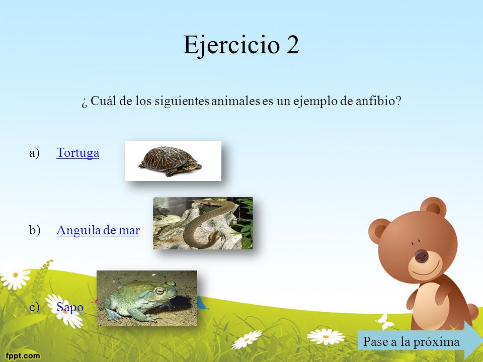 ¿ Cuál de los siguientes animales es un ejemplo de anfibio