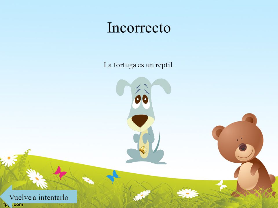 Incorrecto La tortuga es un reptil. Vuelve a intentarlo