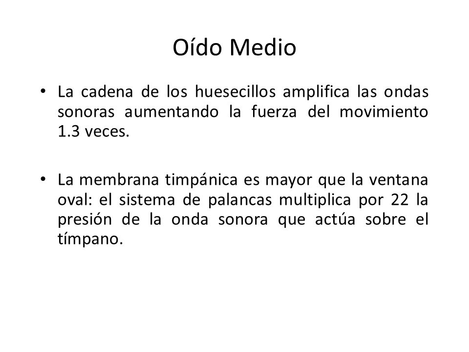 Oído Medio La cadena de los huesecillos amplifica las ondas sonoras aumentando la fuerza del movimiento 1.3 veces.