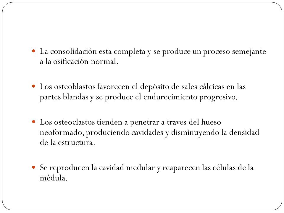 La consolidación esta completa y se produce un proceso semejante a la osificación normal.