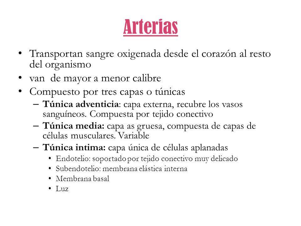 Arterias Transportan sangre oxigenada desde el corazón al resto del organismo. van de mayor a menor calibre.