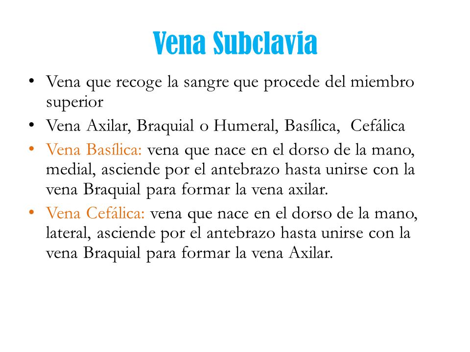 Vena Subclavia Vena que recoge la sangre que procede del miembro superior. Vena Axilar, Braquial o Humeral, Basílica, Cefálica.