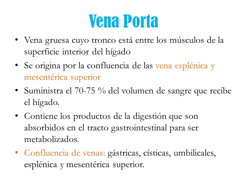 Vena Porta Vena gruesa cuyo tronco está entre los músculos de la superficie interior del hígado.