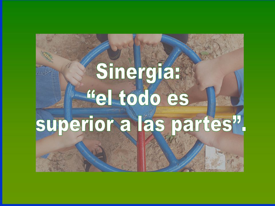 Sinergia: el todo es superior a las partes .