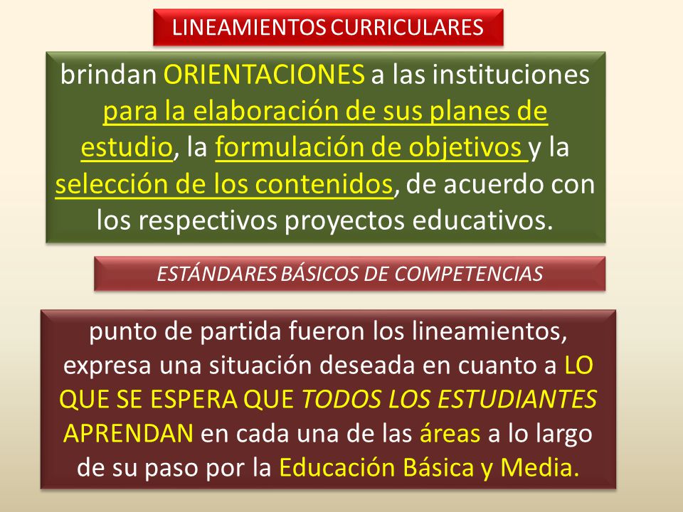 LINEAMIENTOS CURRICULARES