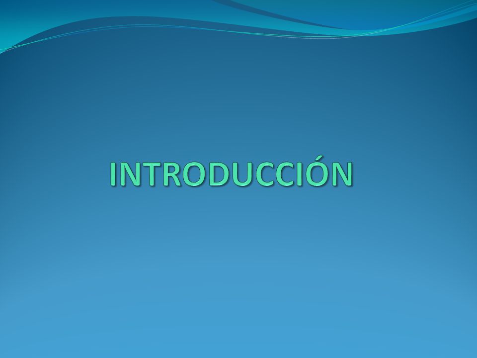 INTRODUCCIÓN