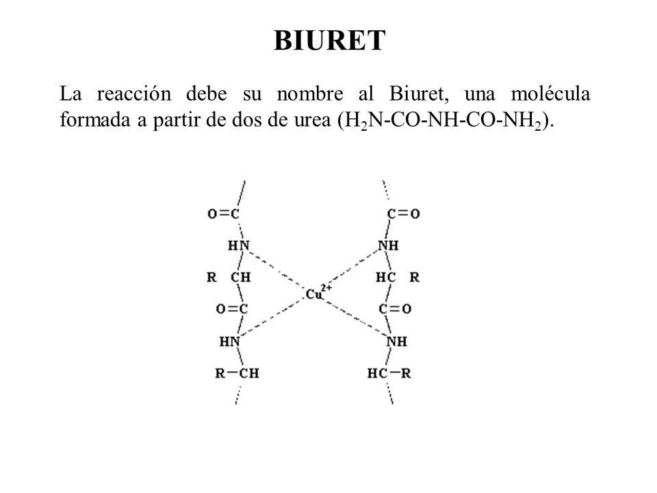 BIURET La reacción debe su nombre al Biuret, una molécula formada a partir de dos de urea (H2N-CO-NH-CO-NH2).
