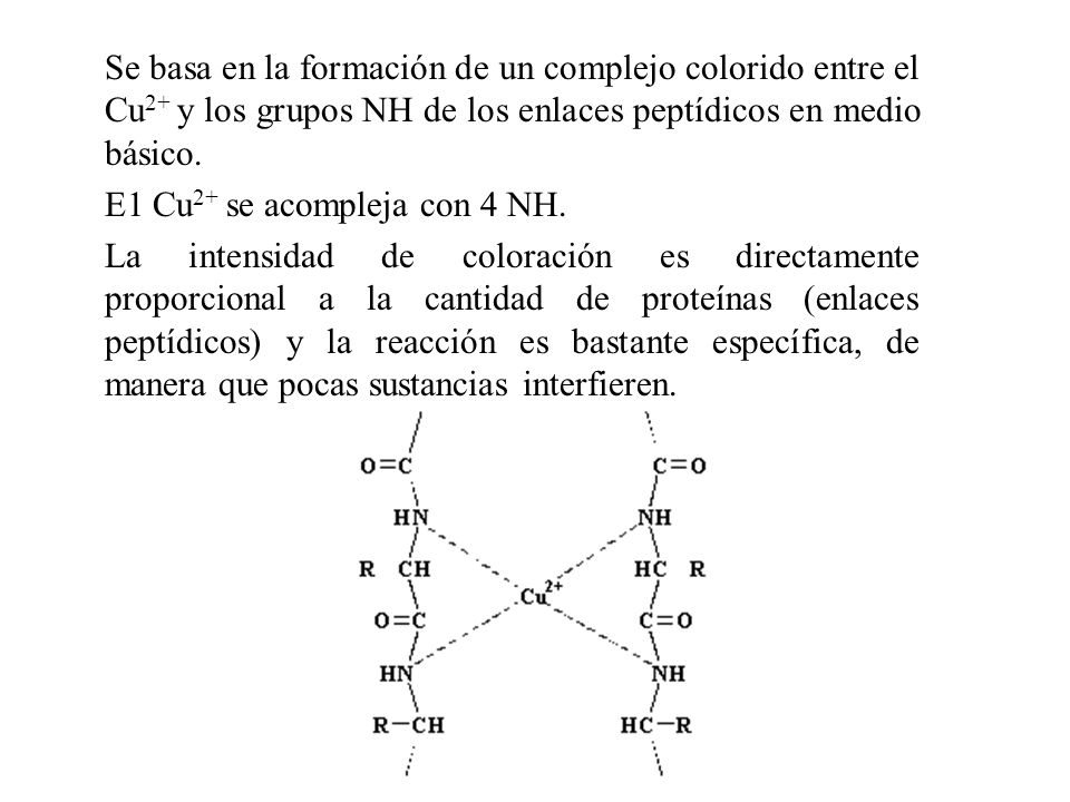 Se basa en la formación de un complejo colorido entre el Cu2+ y los grupos NH de los enlaces peptídicos en medio básico.