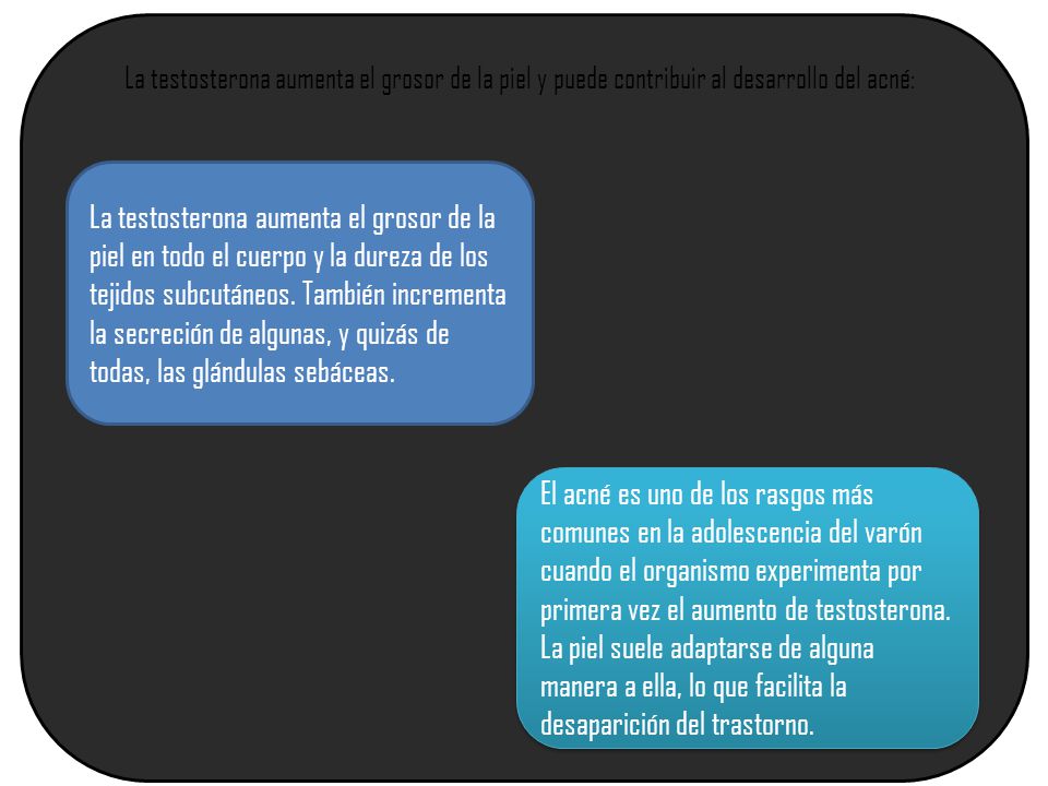 La testosterona aumenta el grosor de la piel y puede contribuir al desarrollo del acné: