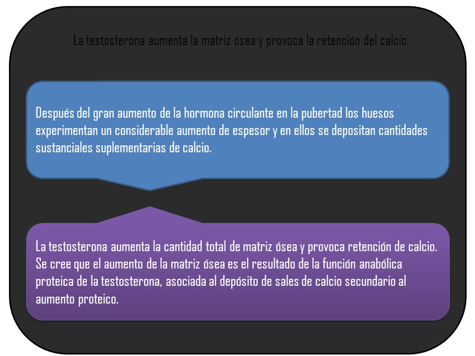 La testosterona aumenta la matriz ósea y provoca la retención del calcio.